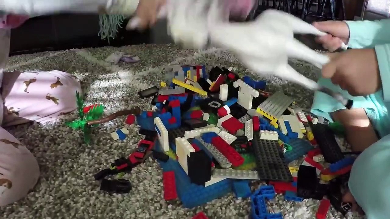 Bad Baby Twins Real Life Poop Diaper & Food Fight, Whip Cream Pie Kate