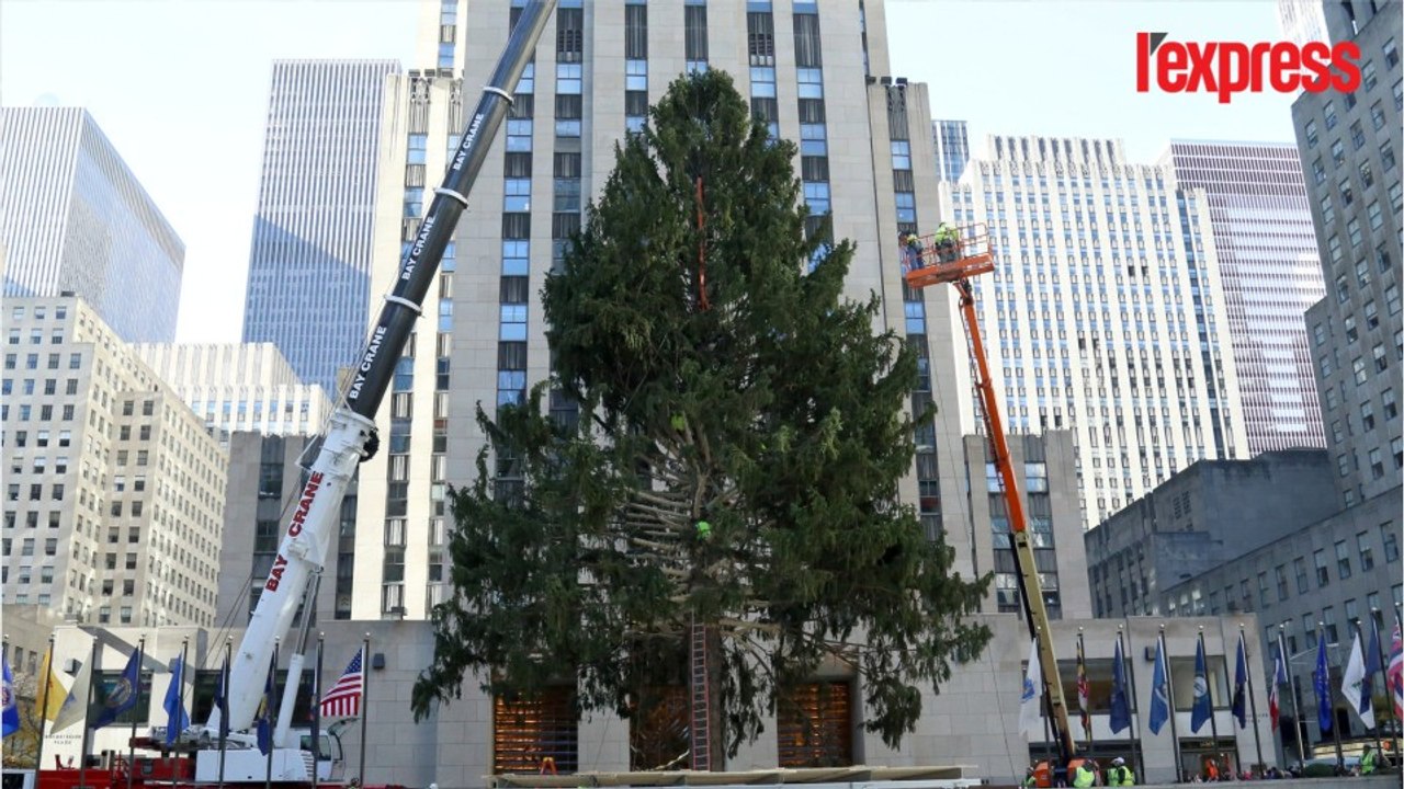 À New York, le gigantesque sapin de Noël est déjà installé