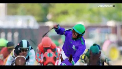 Horse Excellence: Horse racing Ranking