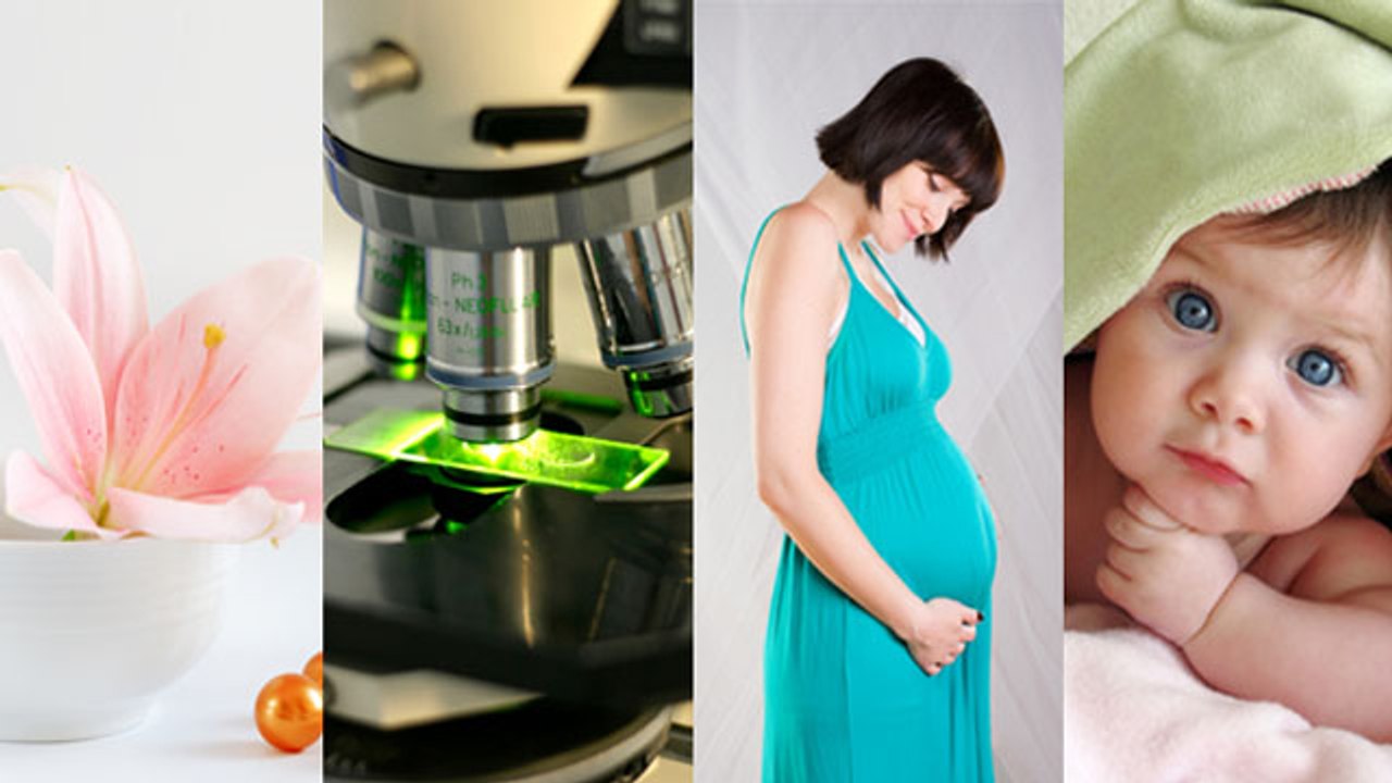 Advantages of Egg Donation Program in Buenos Aires Argentina