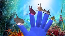 Sea Animals Sharks Whales Dolphin And King Kong Singing Finger Family Children Nursery Rhymes