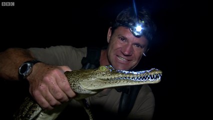 American Crocodile - Up Close and Personal - Deadly 60 - Series 2