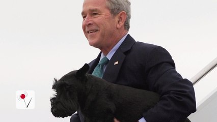 George W. Bush Makes Very Important Announcement on Facebook