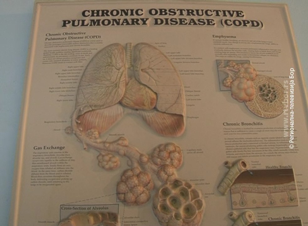 Dan borbe protiv HOBP-a, 15. novembar 2016. (RTV Bor)