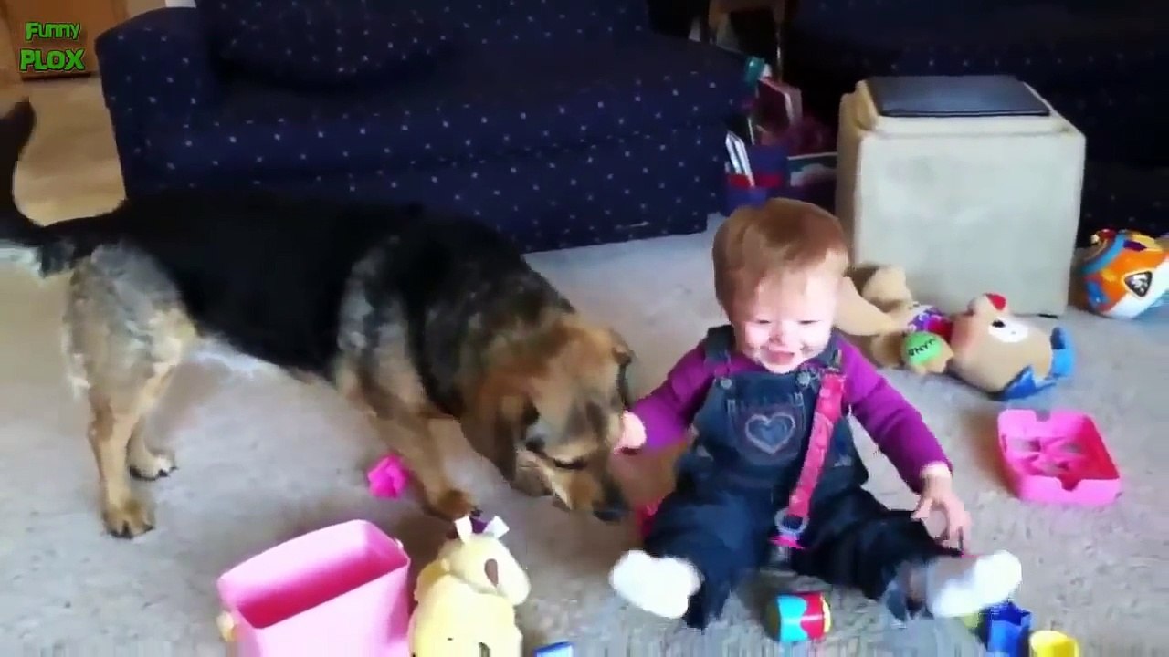 Babies Laughing Hysterically at Dogs Compilation 2014
