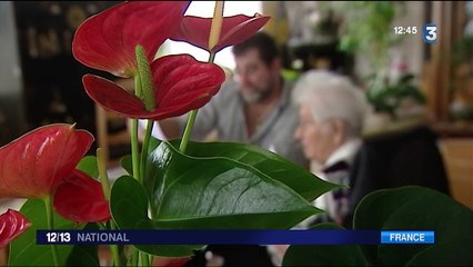 Hérault : des cabanes en sursis