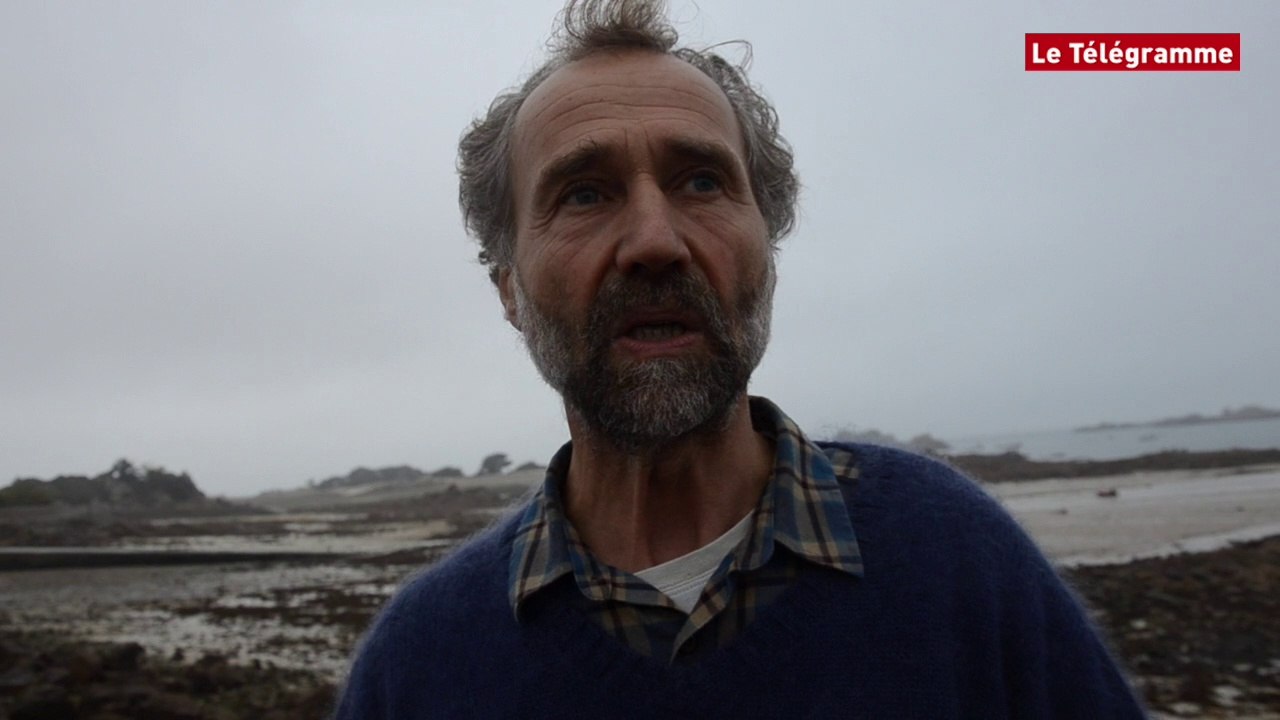 Côtes-d'Armor. Algues vertes : une pétition pour connaître les causes de la mort d'un joggeur