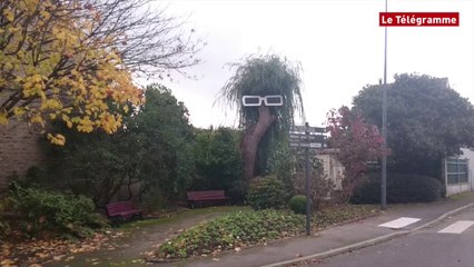 Pont-l'Abbé. "On attend plus que Michel Polnareff"