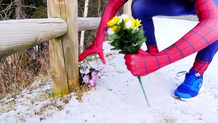 Spiderman vs Frozen Elsa vs Joker in Real Life - Elsa Kidnapped Superhero Movie
