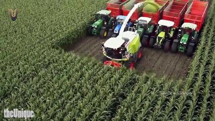 THE MOST SATISFYING VIDEO IN THE WORLD | Unique Videos #44