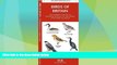 Big Deals  Birds of Britain: A Folding Pocket Guide to Familiar Species of England, Scotland