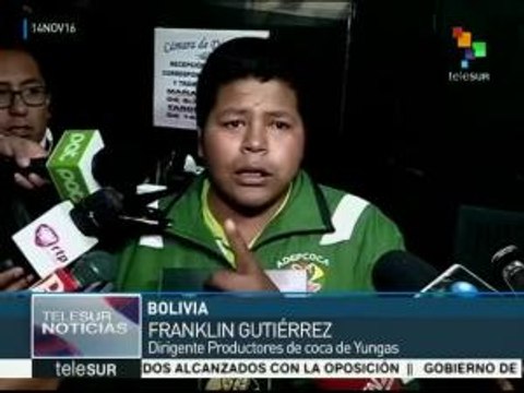 Campesinos de Bolivia presentan nuevo proyecto para la hoja de coca