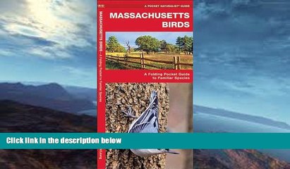 Deals in Books  Massachusetts Birds: A Folding Pocket Guide to Familiar Species (Pocket Naturalist