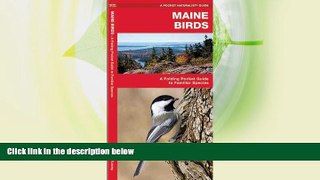 Big Sales  Maine Birds: A Folding Pocket Guide to Familiar Species (Pocket Naturalist Guide