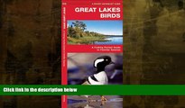 Buy NOW  Great Lakes Birds: A Folding Pocket Guide to Familiar Species (Pocket Naturalist Guide