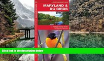 Buy NOW  Maryland   DC Birds: A Folding Pocket Guide to Familiar Species (Pocket Naturalist Guide