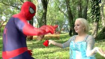 Spiderman and Frozen Anna vs MALEFICENT! Enchant Spiderman. SPIDER in Real Life Superheroes Movie