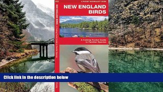 Big Sales  New England Birds: A Folding Pocket Guide to Familiar Species (Pocket Naturalist Guide
