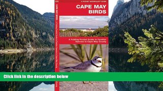 Big Sales  Cape May Birds: A Folding Pocket Guide to Familiar Species in Cape May County (Pocket