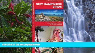 Big Sales  New Hampshire Birds: A Folding Pocket Guide to Familiar Species (Pocket Naturalist