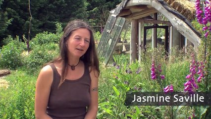How to build an ecovillage community