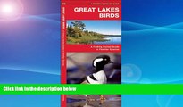 Deals in Books  Great Lakes Birds: A Folding Pocket Guide to Familiar Species (Pocket Naturalist