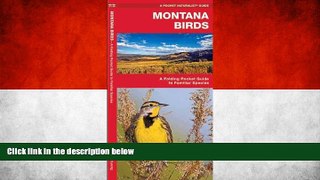 Deals in Books  Montana Birds: A Folding Pocket Guide to Familiar Species (Pocket Naturalist Guide