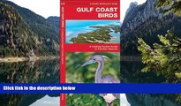 Buy NOW  Gulf Coast Birds: A Folding Pocket Guide to Familiar Species (Pocket Naturalist Guide