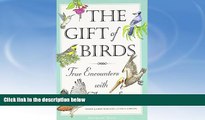 Big Sales  The Gift of Birds: True Encounters with Avian Spirits (Travelers  Tales Guides)