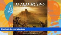 Big Deals  Wild Ruins: The Explorer s Guide to Britain Lost Castles, Follies, Relics and Remains