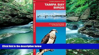 Deals in Books  Tampa Bay Birds: A Folding Pocket Guide to Familiar Species (Pocket Naturalist