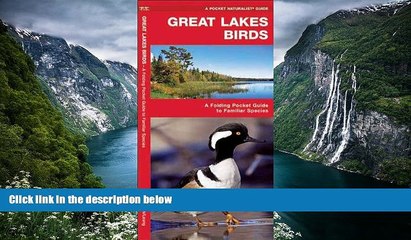 Big Sales  Great Lakes Birds: A Folding Pocket Guide to Familiar Species (Pocket Naturalist Guide