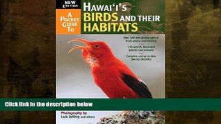 Big Sales  A Pocket Guide to Hawai i s Birds  Premium Ebooks Online Ebooks