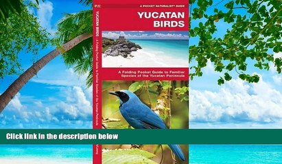 Deals in Books  Yucatan Birds (Pocket Naturalist Guide Series)  READ PDF Online Ebooks