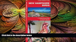 Buy NOW  New Hampshire Birds: A Folding Pocket Guide to Familiar Species (Pocket Naturalist Guide