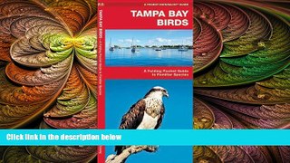 Buy NOW  Tampa Bay Birds: A Folding Pocket Guide to Familiar Species (Pocket Naturalist Guide