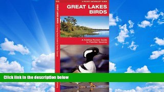 Buy NOW  Great Lakes Birds: A Folding Pocket Guide to Familiar Species (Pocket Naturalist Guide
