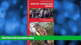 Big Sales  South Carolina Birds: A Folding Pocket Guide to Familiar Species (Pocket Naturalist