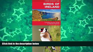 Big Sales  Birds of Ireland: A Folding Pocket Guide to Familiar Species (Pocket Naturalist Guide