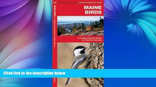 Deals in Books  Maine Birds: A Folding Pocket Guide to Familiar Species (Pocket Naturalist Guide