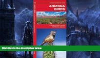 Deals in Books  Arizona Birds: A Folding Pocket Guide to Familiar Species (Pocket Naturalist Guide