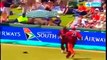 Best Catches In Cricket History - Greatest Catches of All TIme