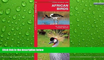 Big Sales  African Birds: A Folding Pocket Guide to Familiar Species (Pocket Naturalist Guide