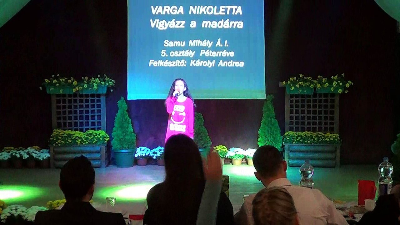 Sulisztár - 2016