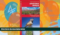 Deals in Books  Arizona Birds: A Folding Pocket Guide to Familiar Species (Pocket Naturalist Guide