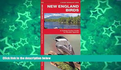 Big Sales  New England Birds: A Folding Pocket Guide to Familiar Species (Pocket Naturalist Guide