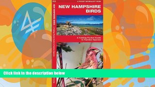 Big Sales  New Hampshire Birds: A Folding Pocket Guide to Familiar Species (Pocket Naturalist