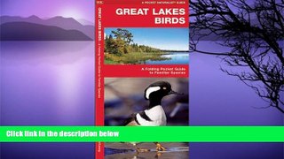 Buy NOW  Great Lakes Birds: A Folding Pocket Guide to Familiar Species (Pocket Naturalist Guide