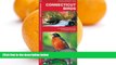 Buy NOW  Connecticut Birds: A Folding Pocket Guide to Familiar Species (Pocket Naturalist Guide