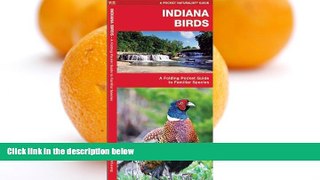 Big Sales  Indiana Birds: A Folding Pocket Guide to Familiar Species (Pocket Naturalist Guide